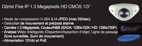 Dome motorisé ip PTZ SD6C230U-HNI Dahua